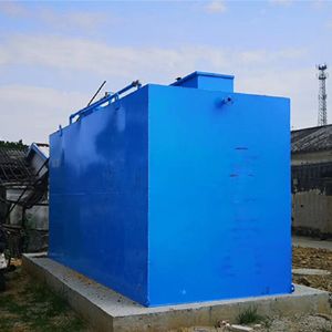 新农村生活污水处理设备安装情况 
